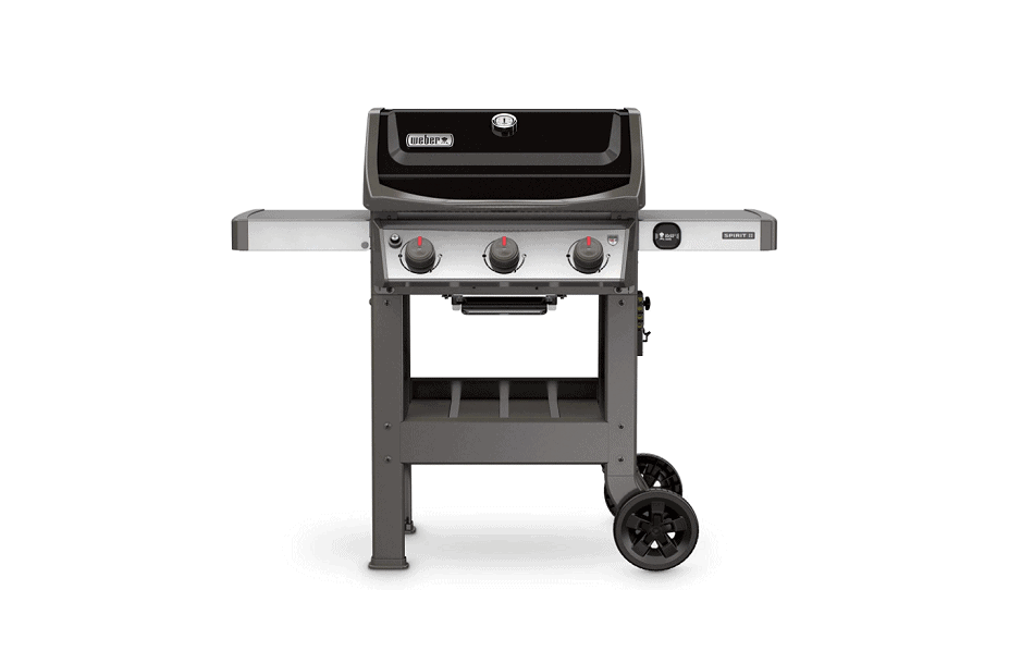 weber 45010001 spirit II